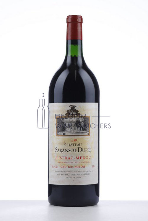 Picture of 1988 SARANSOT DUPRE